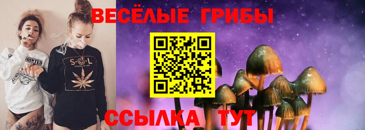Апрелевка  Галлюциногенные грибы мухоморы  Вход с VPN 
